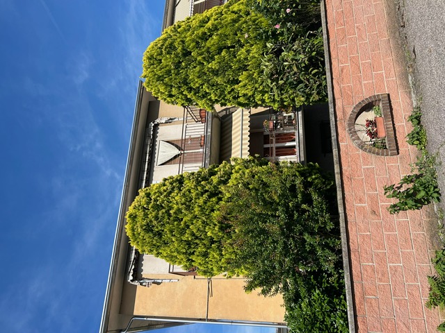 Soluzione N. CR718: Appartamento in Vendita > CASALMAGGIORE (CR)